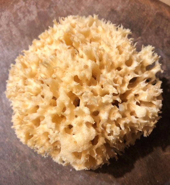 Naturschwamm